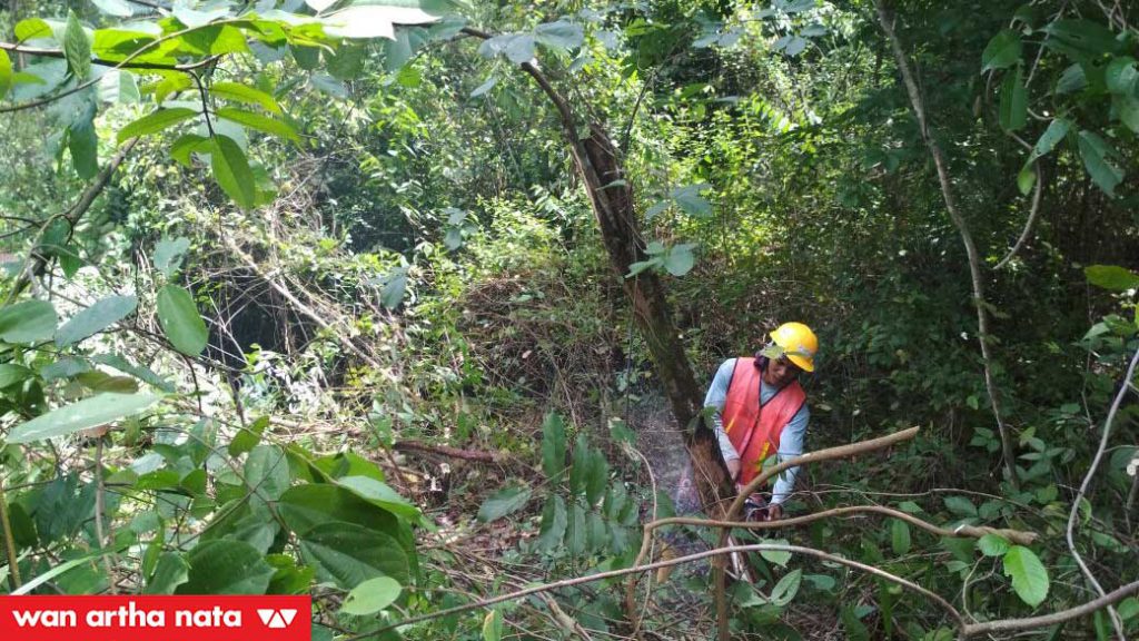 IMG-20180314-WA0031-optmz